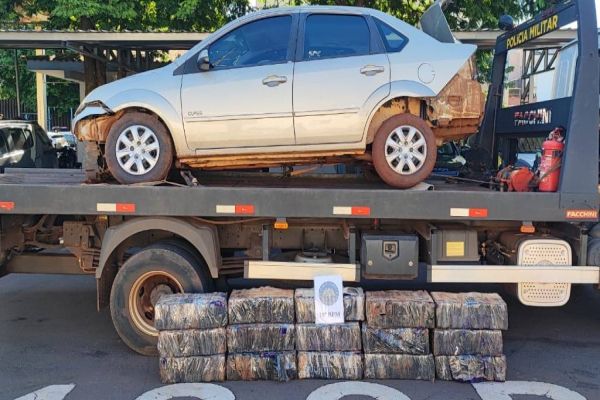 Apreensão de grande quantidade de maconha em ação conjunta em Toledo