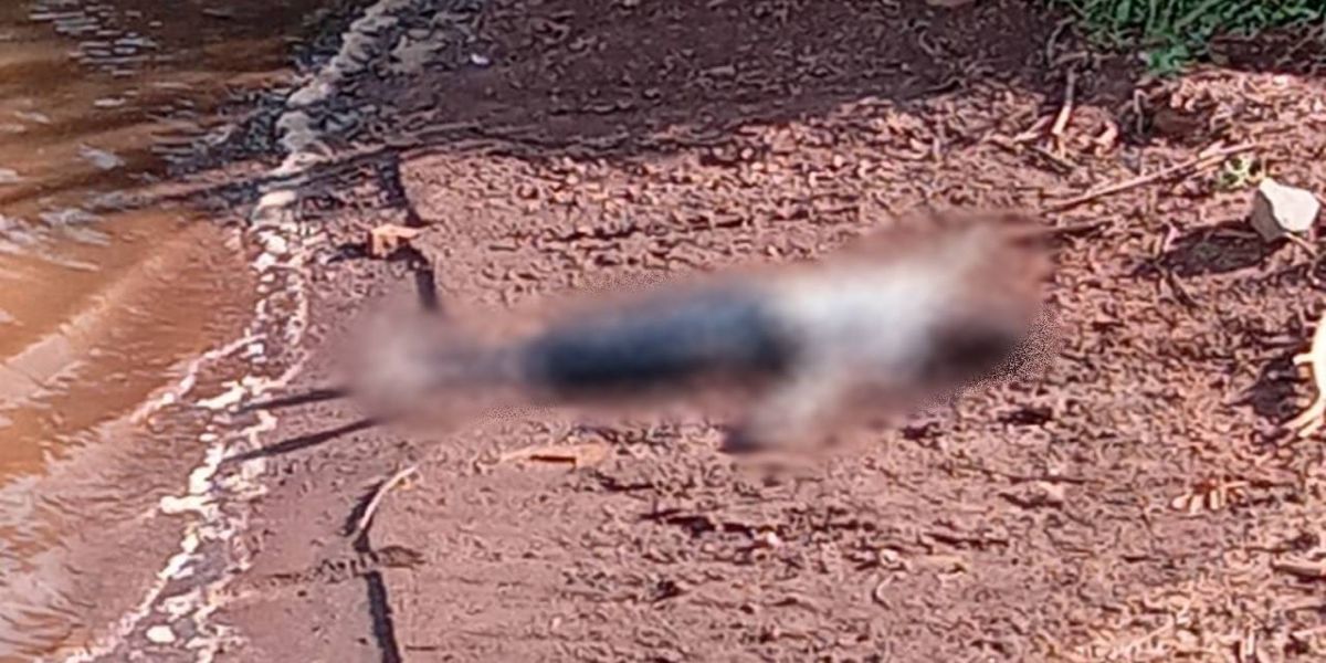 Corpo é encontrado em rio na área rural de Anahy