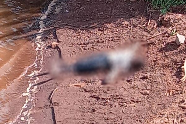 Corpo é encontrado em rio na área rural de Anahy