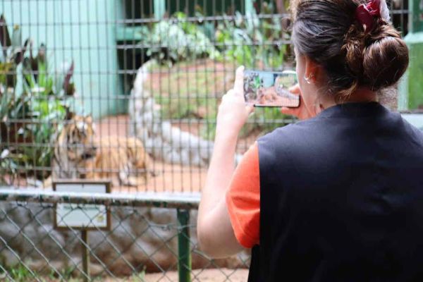 Educação: Visita técnica marca início do Projeto Caminho Verde em 2024