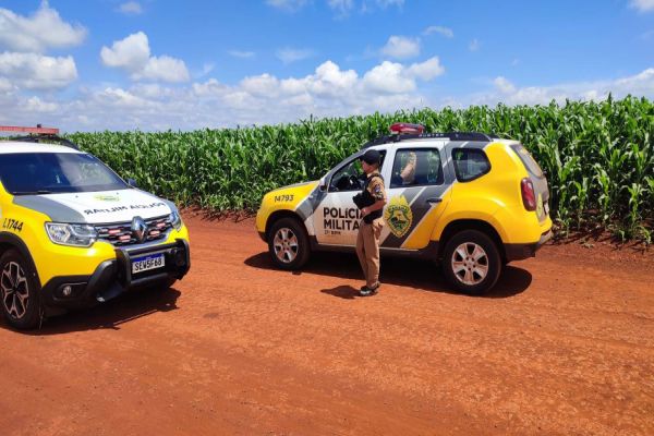 Preso Indivíduo em Operação contra "Piratas do Asfalto" na BR-369 em Cascavel