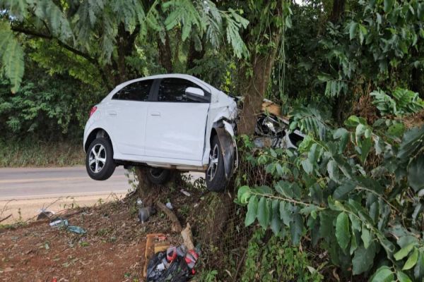 Carro 'decola' e fica preso entre árvores na BR-282 após tentativa de desviar de buraco