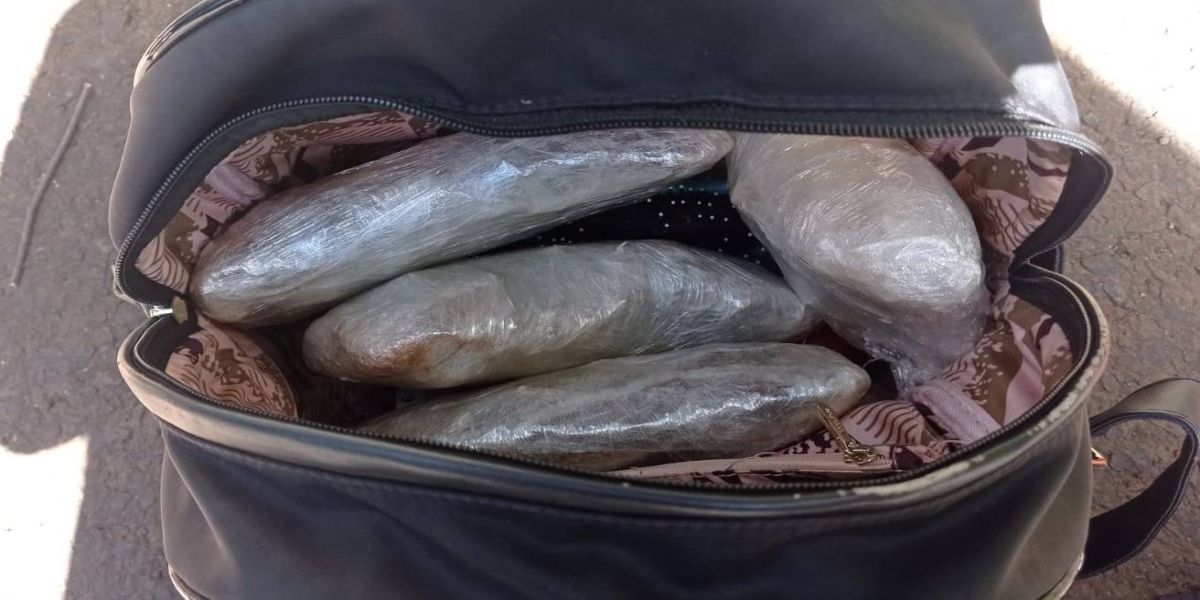 PRF apreende 860 gramas de maconha em abordagem na BR-277