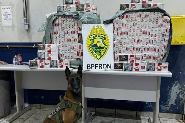 BPFRON realiza apreensão de cigarros contrabandeados em ônibus em Cascavel