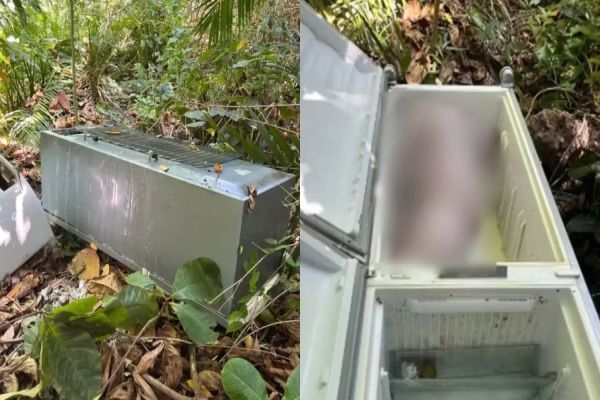 Corpo de mulher é encontrado dentro de geladeira durante mudança: Filha e dois suspeitos são presos