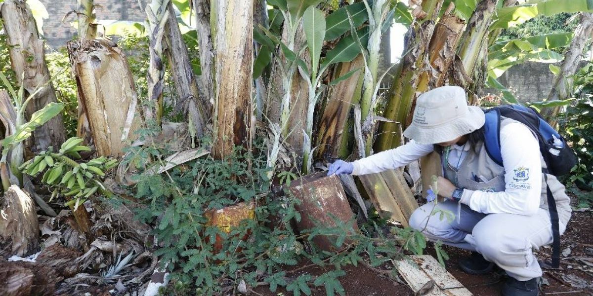 Saúde realizará LIRAa para verificar índice de infestação e pede que a população receba os agentes