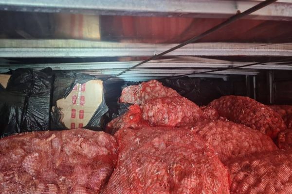 PRF apreende 150 mil maços de cigarros contrabandeados escondidos em carga de alho na PR-317