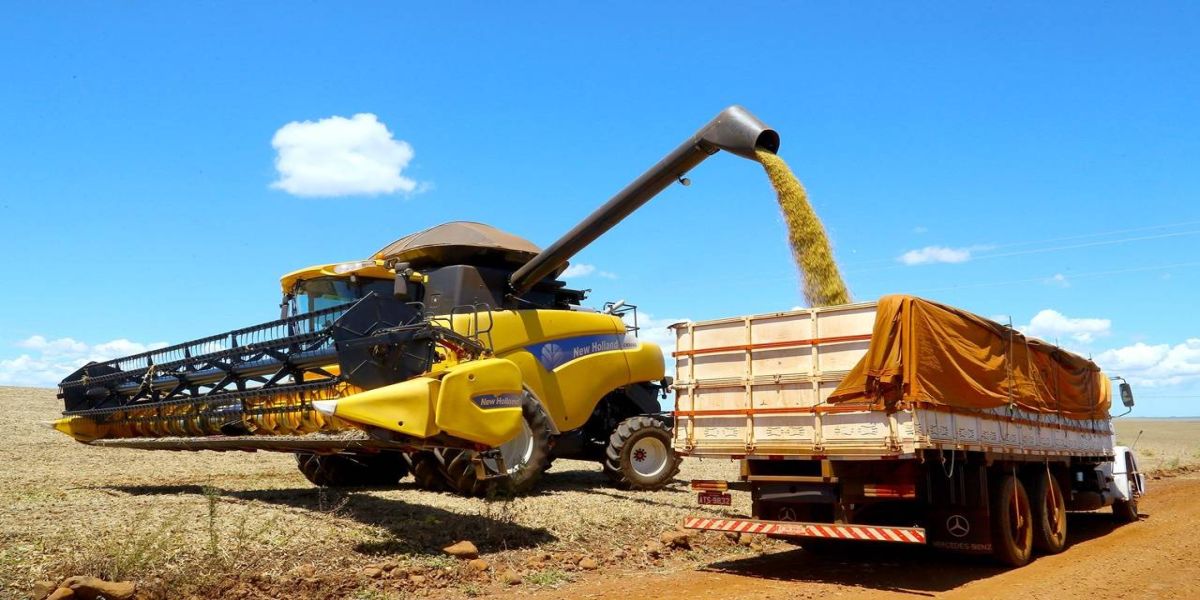 Exportações do Paraná avançam 13,6% no 1º bimestre de 2024 e chegam a US$ 3,49 bilhões