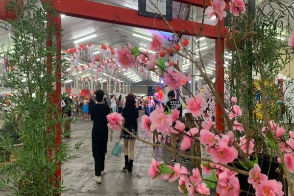 Nipofest: Cascavel celebra a cultura japonesa em grande evento