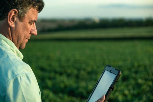 Iluminando o Campo: Os benefícios da fibra óptica para propriedades rurais