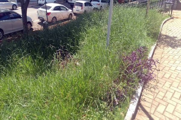 Falta de manutenção na Praça Wilson Jofre em Cascavel preocupa moradores