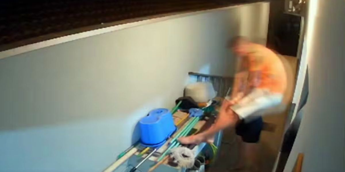 Homem sobe em muro para ver confusão no vizinho e morre com tiro no rosto em Apucarana