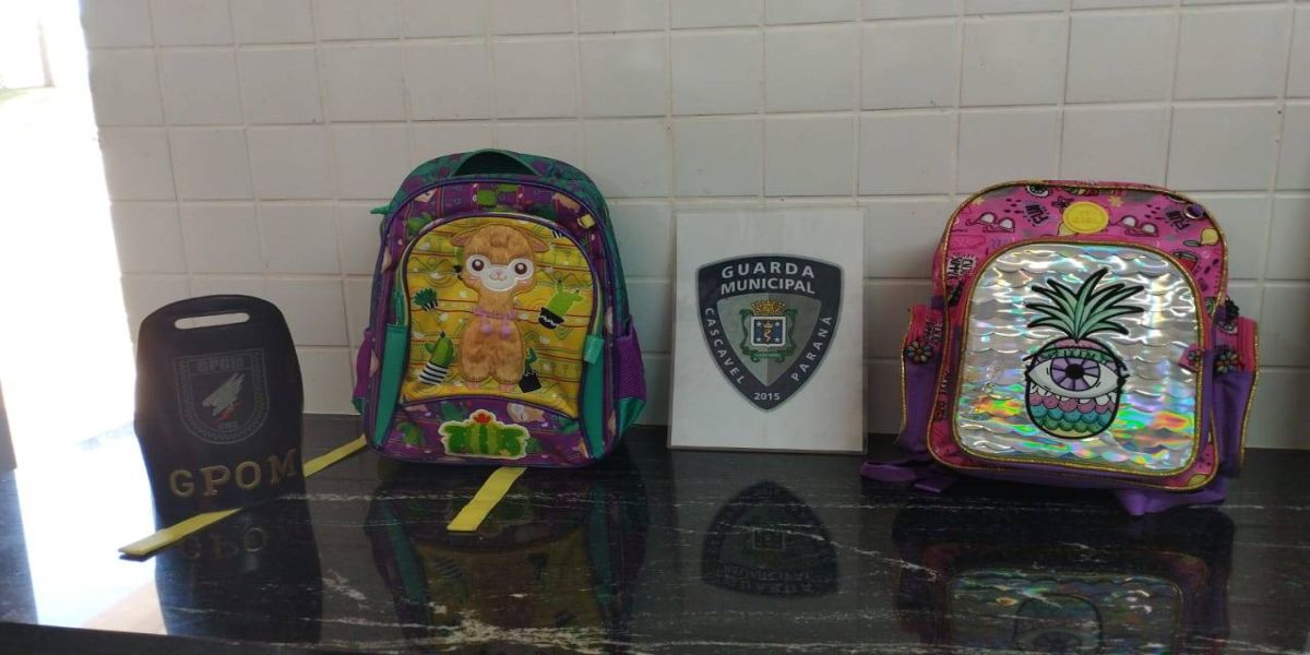 Guarda Municipal prende homem após furto em estabelecimento comercial no Bairro Periolo