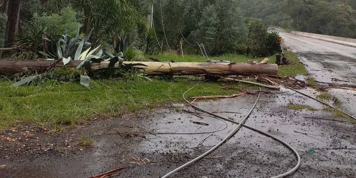 Mais 2.600 profissionais da Copel trabalham para restabelecer luz no Paraná
