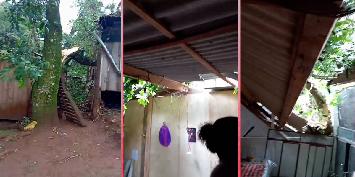 Árvore cai sobre residência, deixando família desabrigada no Jardim Melissa em Cascavel