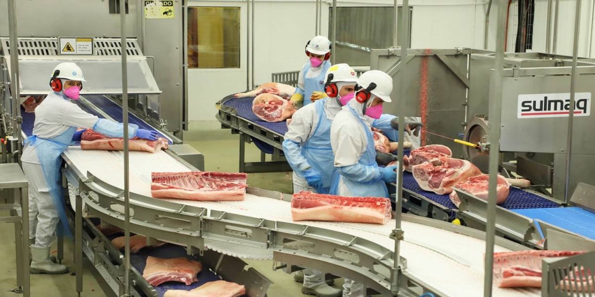 Paraná é o maior produtor de carne suína para consumo interno, aponta boletim do Deral