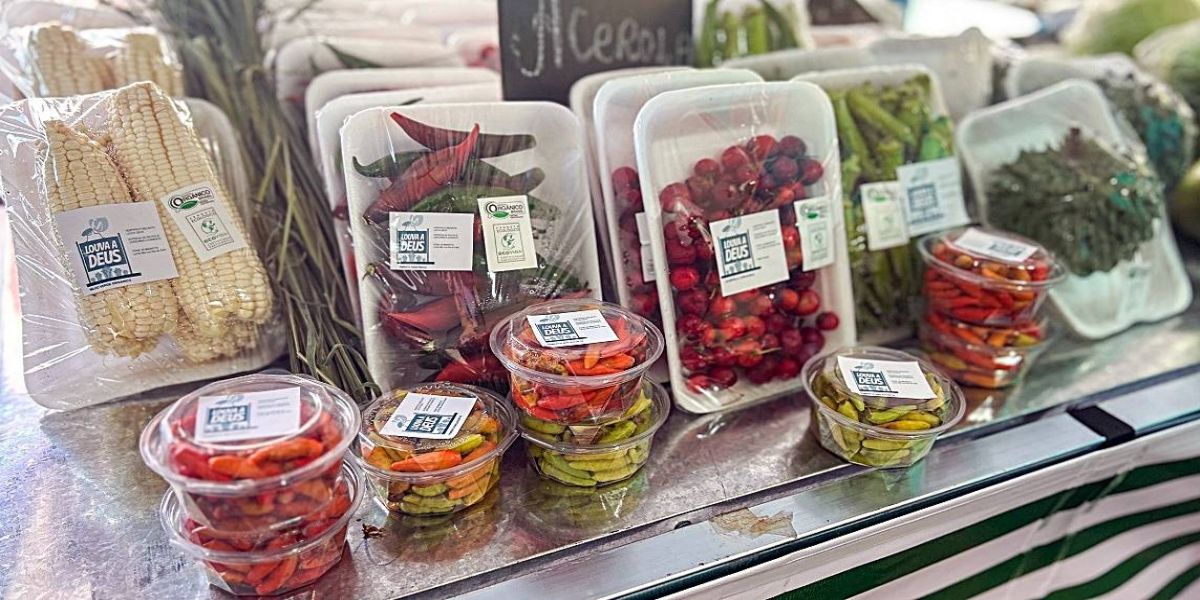 Feira do Teatro inova ao incluir bancas de produtos orgânicos certificados