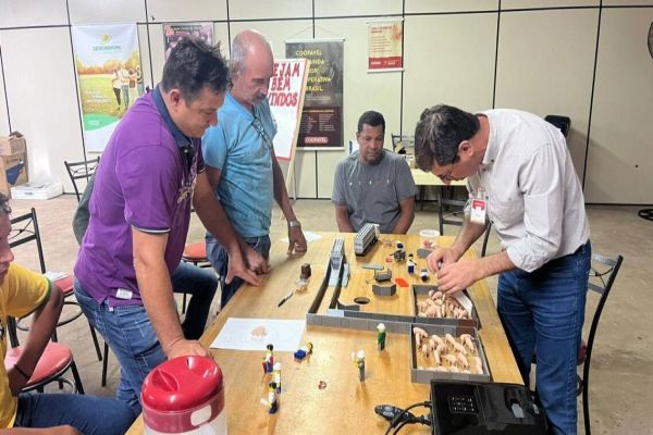 Coopavel investe em bem-estar animal na produção de suínos