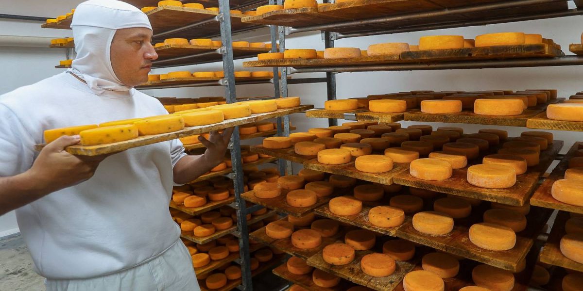 107 mil novos empregos em 78% das cidades: Paraná é destaque nacional nos últimos 12 meses