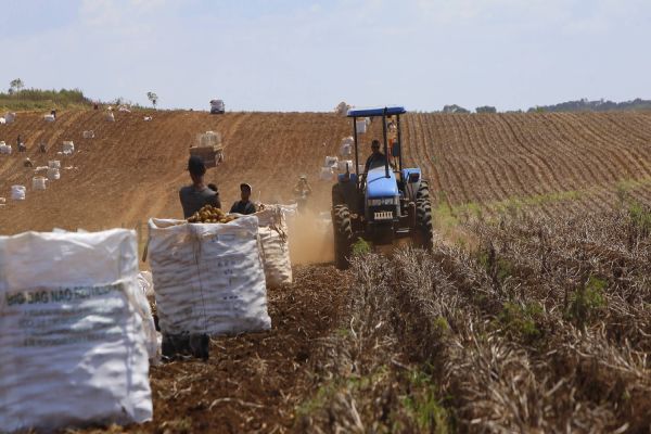 Conselho Monetário Nacional autoriza produtores a renegociar dívidas do crédito rural