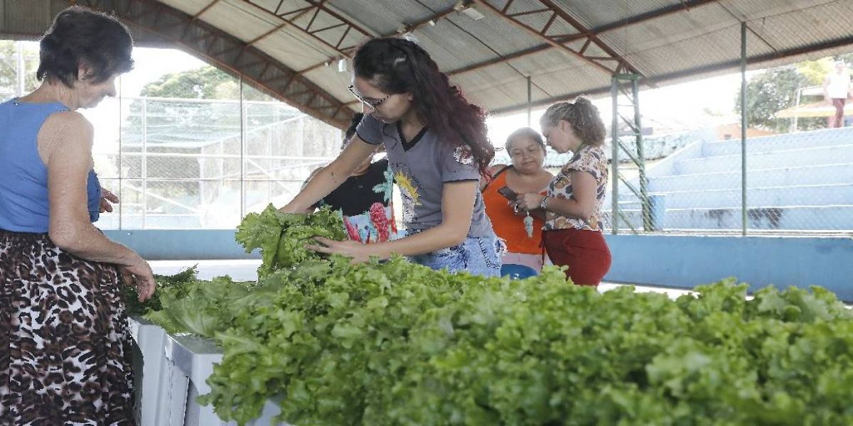Feira do Produtor Urbano ganha edição semanal todo sábado em Cascavel