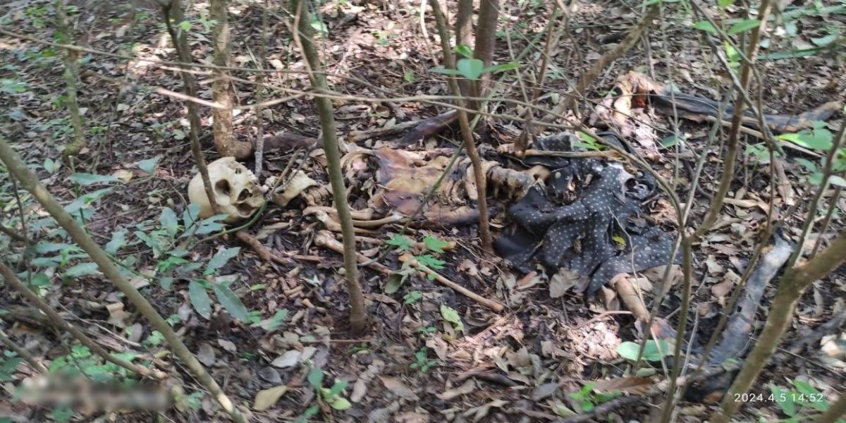 Ossada humana é encontrada em área de mata na Região Oeste de Cascavel