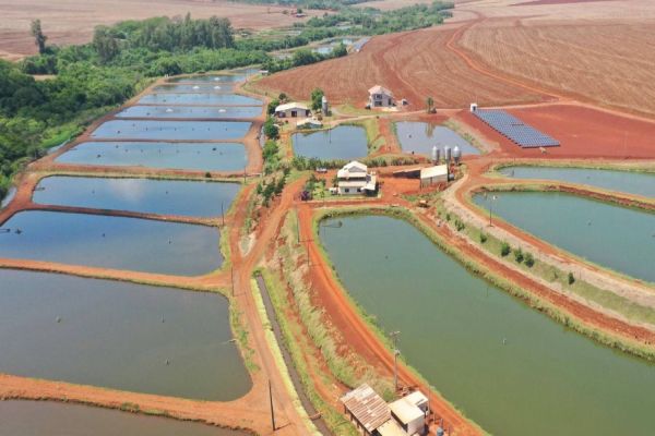 Pesquisadores vão a campo mapear os viveiros escavados do Paraná