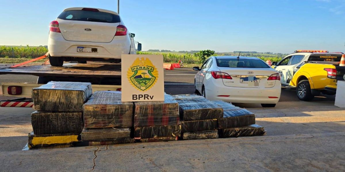 Polícia Rodoviária Estadual apreende mais de 200 quilos de maconha em operação na PR-323