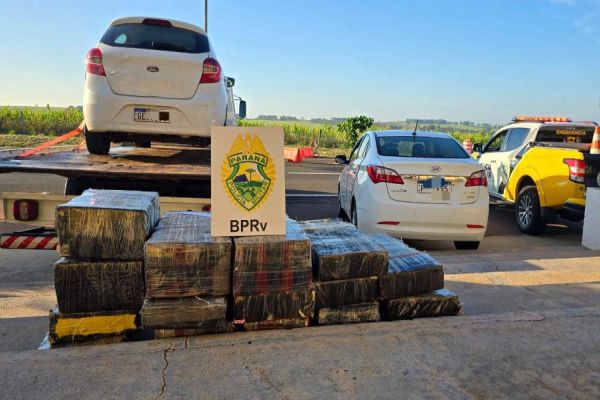 Polícia Rodoviária Estadual apreende mais de 200 quilos de maconha em operação na PR-323