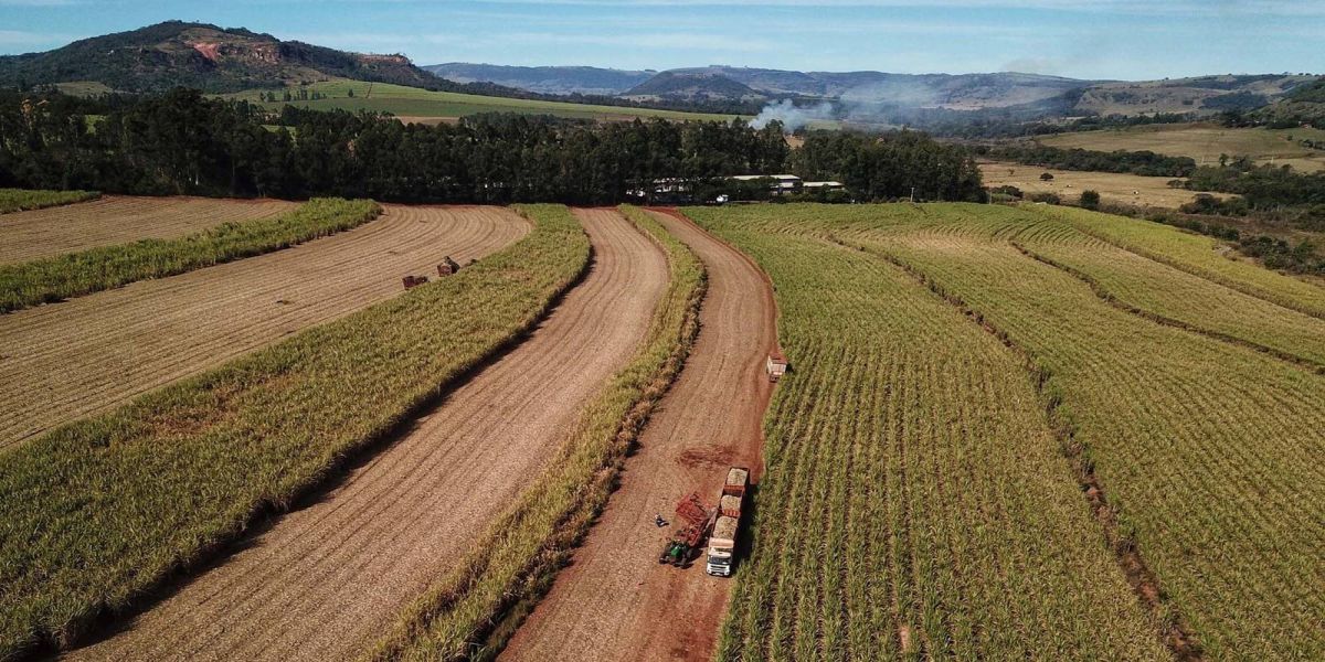 Paraná vai produzir 1,25 bilhão de litros de etanol na atual safra, aponta boletim