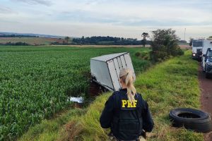 Imagem referente à notícia: Condutor morre em colisão frontal entre caminhões na BR-369 em Mamborê