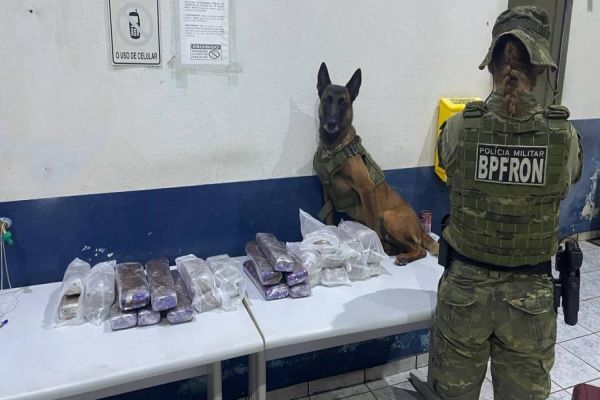 BPFRON apreende 20,3 kg de substância análoga à maconha em ônibus em Cascavel