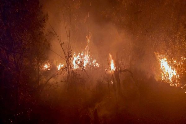 Período mais seco: IAT faz alerta sobre incêndios nas Unidades de Conservação do Paraná