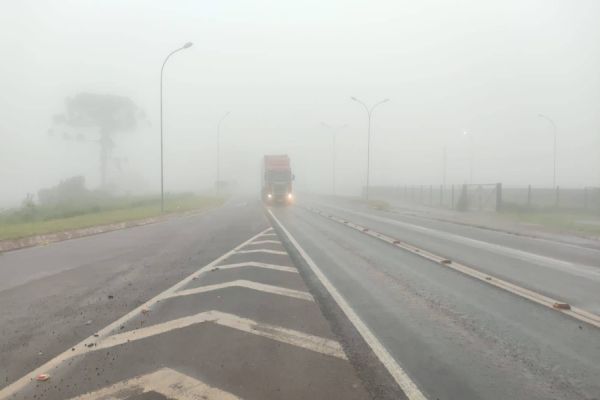 Cuidados no trânsito em dias de neblina: Mantenha-se alerta para uma Viagem Segura