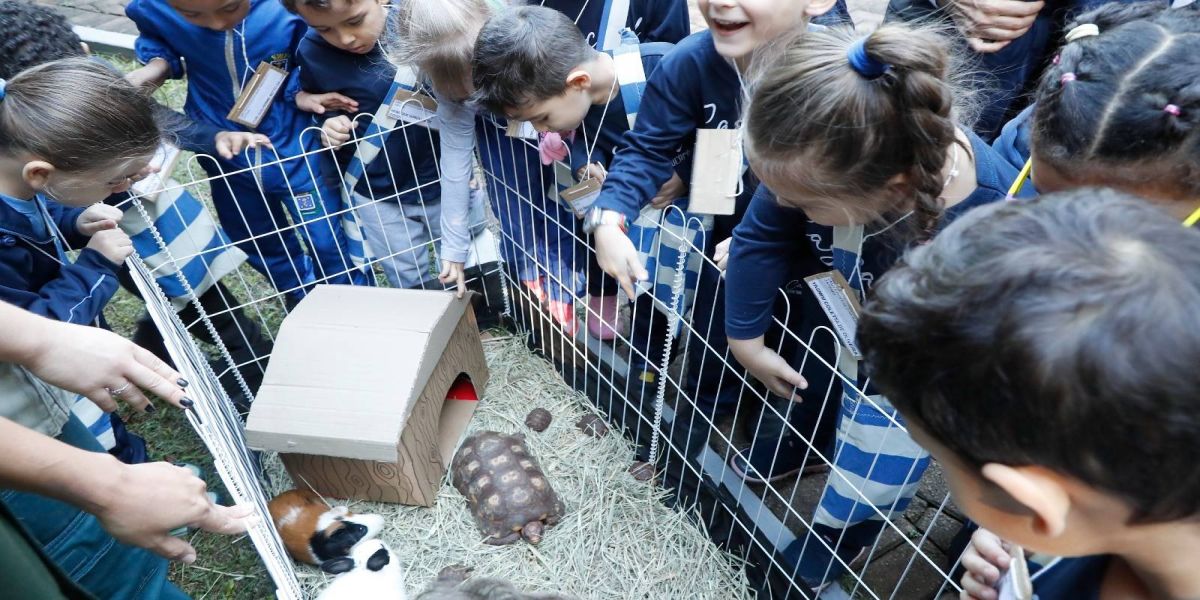 Programa de Educação Ambiental do Zoo de Cascavel chega a milhares de alunos anualmente