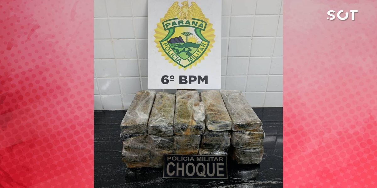 Pelotão de Choque apreende 18,7 kg de maconha durante a Operação Cidade Segura na Rodovia BR-163