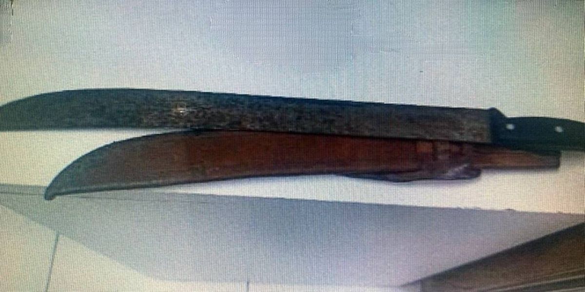 Filha denuncia agressão do pai em caso de violência doméstica no Bairro Periolo