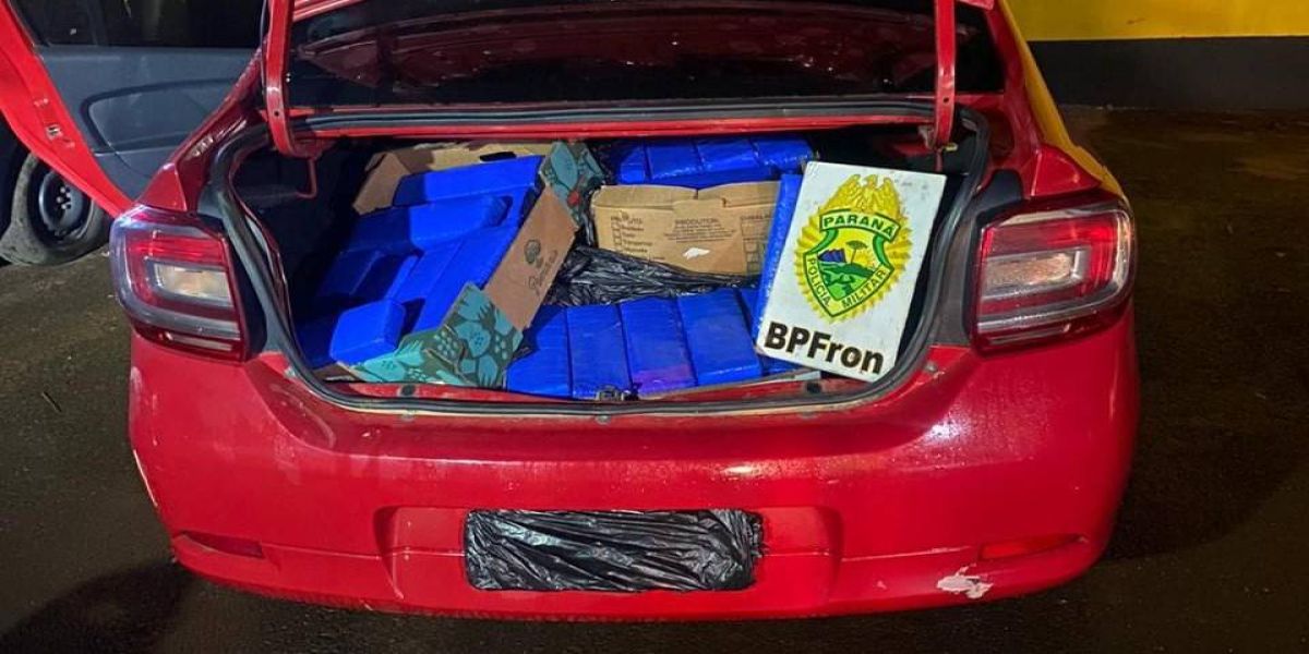 Operação Protetor: BPFRON/1CIA apreende grande quantidade de maconha em São Miguel do Iguaçu