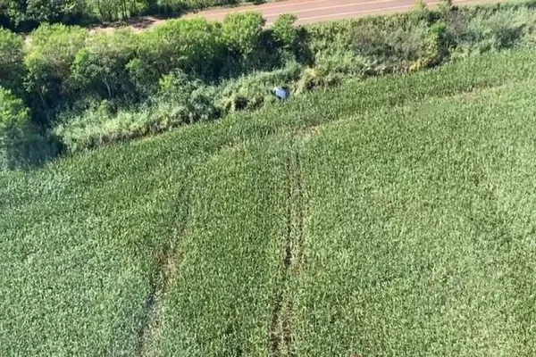 Foto relacionada a notícia: Falcão 13 da PMPR encontra veículo furtado e auxilia na busca por pessoa desaparecida