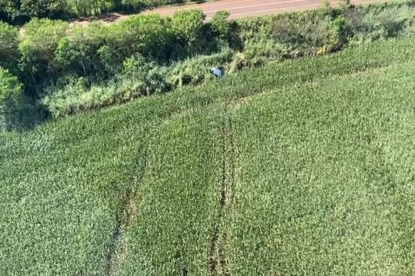 Falcão 13 da PMPR encontra veículo furtado e auxilia na busca por pessoa desaparecida