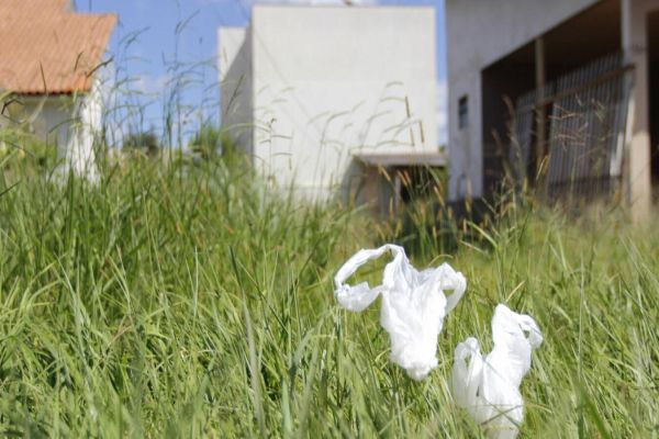 Imóveis com mato alto e lixo serão autuados sem notificação preliminar em Toledo