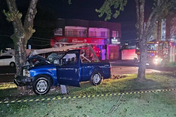 F-250 bate em poste e árvore na Avenida Brasil, deixando homem ferido e causando queda de energia