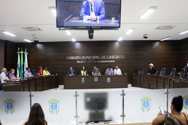 Falta de repasse para incentivo financeiro a agentes da Saúde é tema de reunião