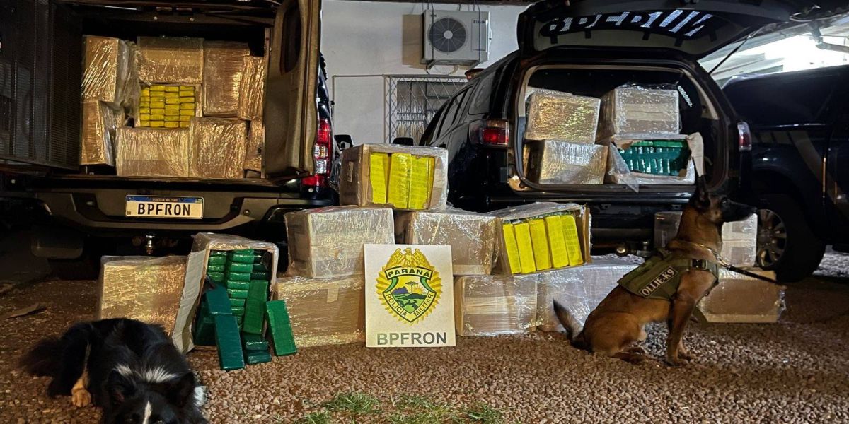 Mais de uma tonelada de maconha e contrabando são apreendidos em ônibus interestaduais no oeste