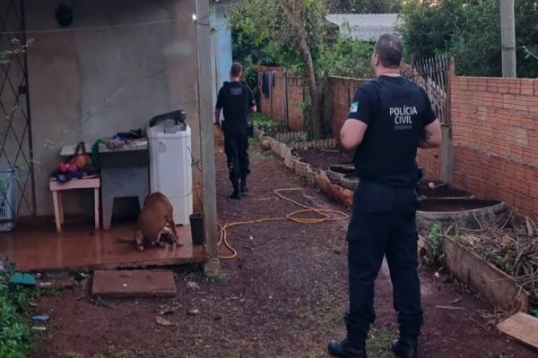 GDE apreende celulares, ferramentas e munições após furto em loja de eletrônicos em Cascavel