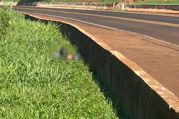 Homem é morto, queimado e desovado as margens da Av. Mercosul, em Foz do Iguaçu