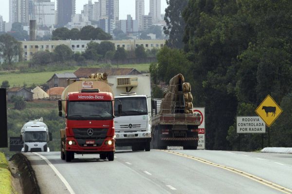 DPVAT: Seguro obrigatório para acidentes de trânsito volta em 2025