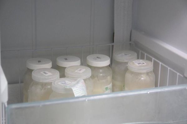 Com a epidemia de dengue, o Banco de Leite do HUOP registrou baixo estoque em abril de 2024