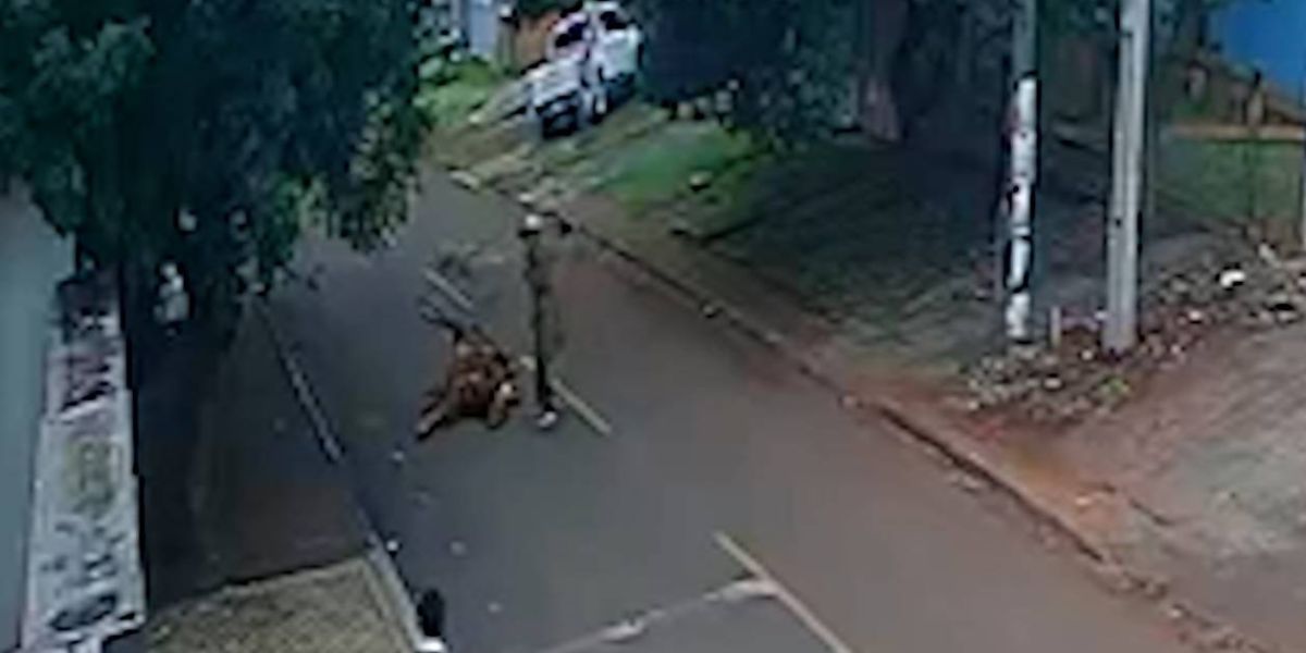 Cavalo morre e é abandonado em Rua do Bairro Santo Onofre em Cascavel