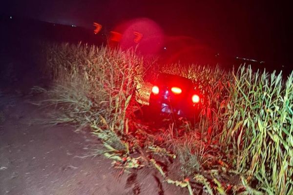 Contrabando de cigarros apreendido em Corbélia após fuga em plantação de milho